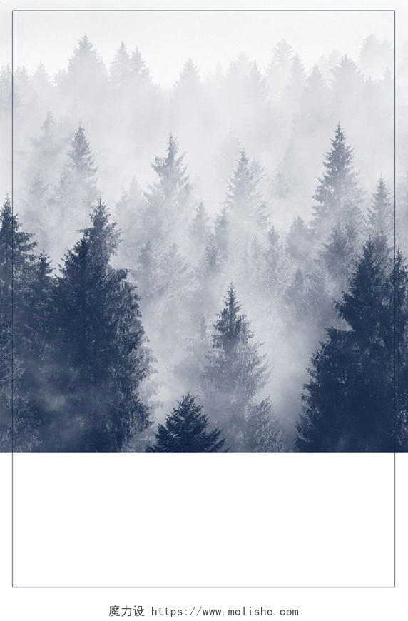 实拍森林迷雾321世界森林日环保宣传公益灰色海报背景